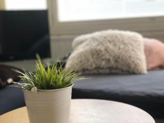 Sweethome Studio 48 City Center Аlbertinkatu - Helsinki - 7