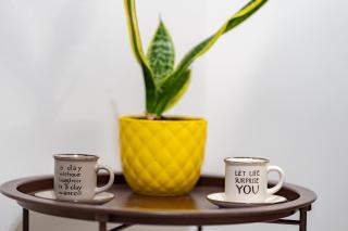 Lion's Cave suite No 1. - 5