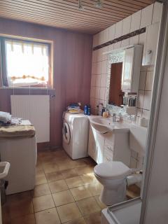 Appartement am Waldesrand - Gifhorn - 1