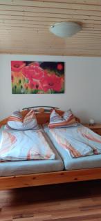 Urlaub auf dem Reiterhof Schaarschmidt - Großrückerswalde - 2