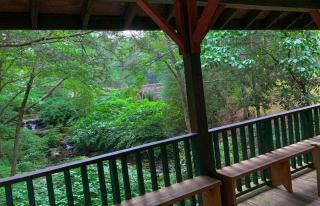 Beautiful Country Retreat - 40 guests! - 3