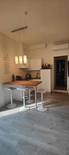 Alice house with amazing terrace - Florence - 7