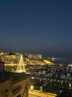 Palazzo Lamantea Boutique Rooms - Bisceglie - 1