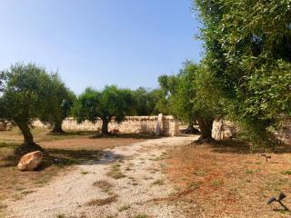 DIMORA DONNA CARMELA - Locorotondo - 6