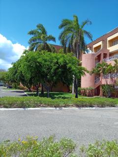 Sea Breeze Penthouse Apartment - Kingston - 0