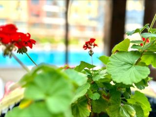 Chateau Aheloy 2 - Menada Apartments - Aheloy - 2