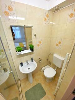 Central Park House - Cluj-Napoca - 8