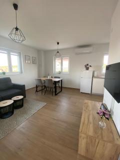 Apartments Rising Sun, Ražanac - Ražanac - 8