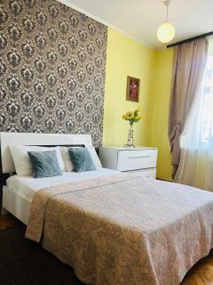 Iren Horodoska 111 Apartment - Lviv - 0