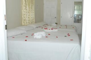 Hilltop View Guesthouse - Castries - 4