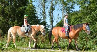 Bio-Bauernhof Vorderfromm - 7