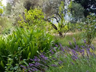 La Brise, provenzialisches Appartement in Vence, Côte d'Azur, für 6-8 Personen - 6