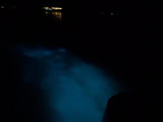 Spring Top Cottage - Falmouth - 6