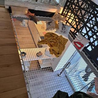 L'Atelier Gîte-Loft 6/8 pers - Pontlevoy - 4