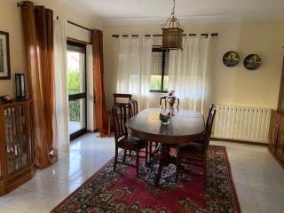 City House - Vila Real - 4