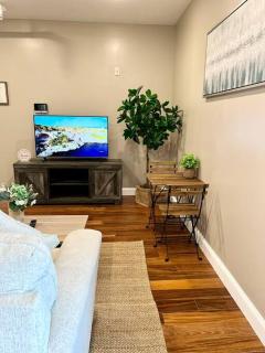 502 Luxury 1BR apartment in center city - 1