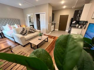 502 Luxury 1BR apartment in center city - 3