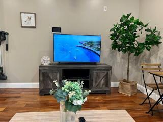 502 Luxury 1BR apartment in center city - 2