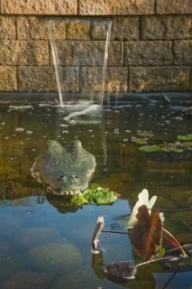 Best of My Love - CA King Size Bed+ - Sleeps 2-4 - 7