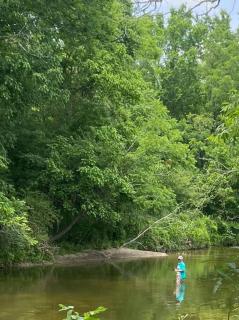 Cabin 2 - steps from the river! - Huntsville - 5