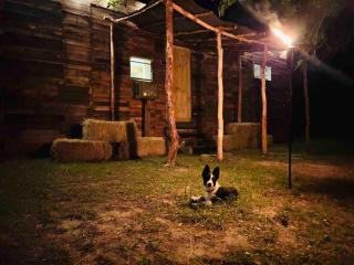 Cabin 2 - steps from the river! - Huntsville - 1