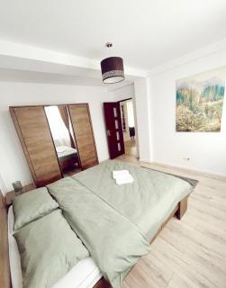NS apartment 2 - Cluj-Napoca - 9