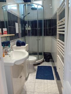 Appartement lumineux à Arcueil-Cachan - Arcueil - 5