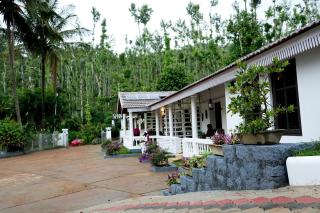 Jungle Greens Homestay - Water Activities, 150Y Estate, Home Food - Chikmagalūr - 5