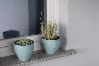 Apartman Podine, Kruševo - Kruševo - 3