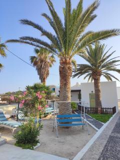 Palm Studios - Perissa - 0