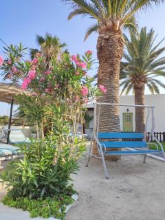 Palm Studios - Perissa - 3
