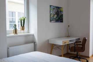 Cozy City Apartment - Graz - 4