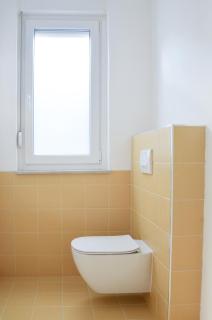 STUDIO GREENHOUSE - 1