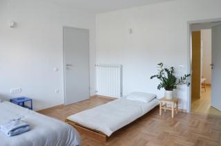 STUDIO GREENHOUSE - Tolmin - 5