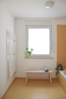STUDIO GREENHOUSE - Tolmin - 3