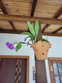 Chalés das Orquídeas - 4