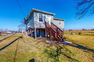 Gators, Fishes, Beaches, and Birds - Freeport - 7