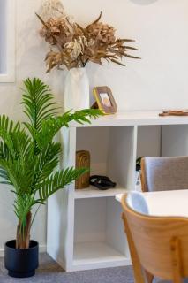 Large trendy 3 Bedroom Residence, Central City - Christchurch - 3