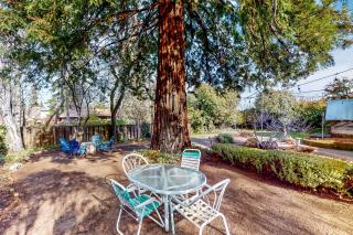 Forbestown Retreat - Lakeport - 8