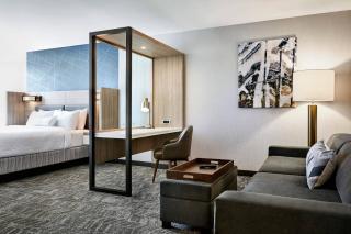 SpringHill Suites by Marriott Oklahoma City Midwest City Del City - Del City - 4