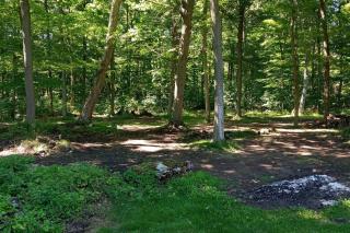 Woodsandwaves Cottage Retreat - Port Colborne - 8