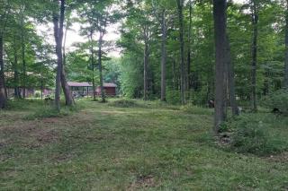 Woodsandwaves Cottage Retreat - Port Colborne - 1