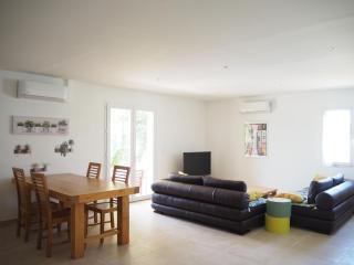 Pretty modern holiday home with pool and views of the vineyards, Domazan - Domazan - 7