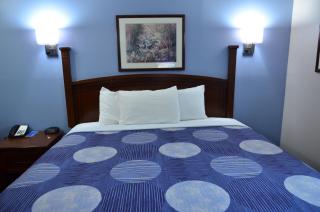 Rodeway Inn Augusta West - Fort Eisenhower - Augusta - 9