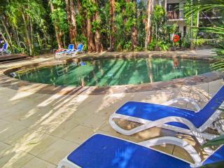 Palm Cove Treetop Spa Retreat - Palm Cove - 3