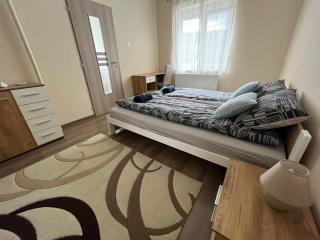 Albi Apartman - 9
