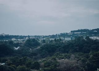 Jeju Lavender Hotel - 5