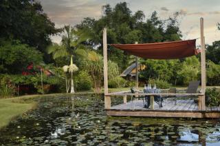 Lillypads Red Cottage - Rainforest Tranquility - Mission Beach - 9