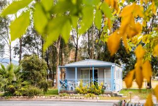 Mudgee Riverside Park - Mudgee - 3