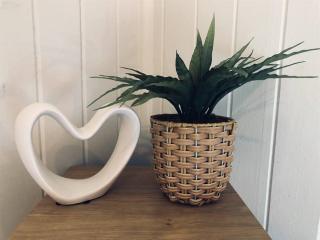 Pina Colada on the Beach - Beachfront - 2 Bedroom - Mission Beach - 2